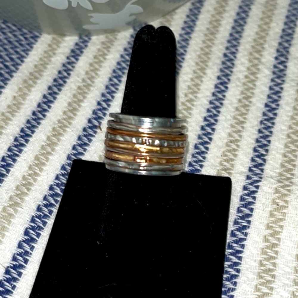 Elegant Silver and Gold Spinner Ring